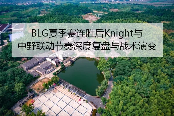 BLG夏季赛连胜后Knight与中野联动节奏深度复盘与战术演变