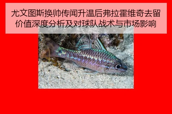 you-wen-tu-si-huan-shuai-chuan-wen-sheng-wen-hou-fu-la-huo-wei-qi-qu-liu-jia-zhi-shen-du-fen-xi-ji-dui-qiu-dui-zhan-shu-2-677.jpg